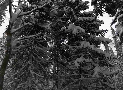 Кемпы в Шерегеш