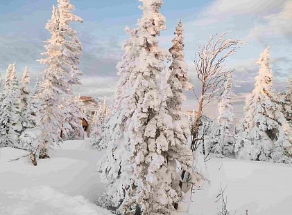Кемпы в Шерегеш